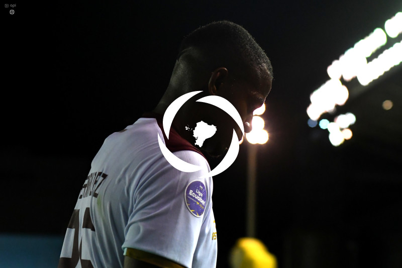 FBL-LIGAPRO-DELFIN-VINO TINTO