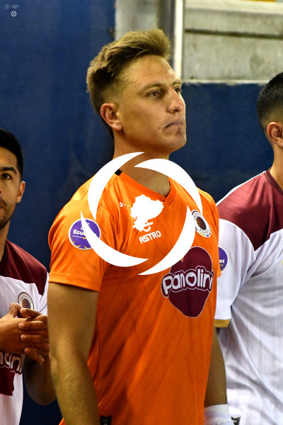 FBL-LIGAPRO-DELFIN-VINO TINTO