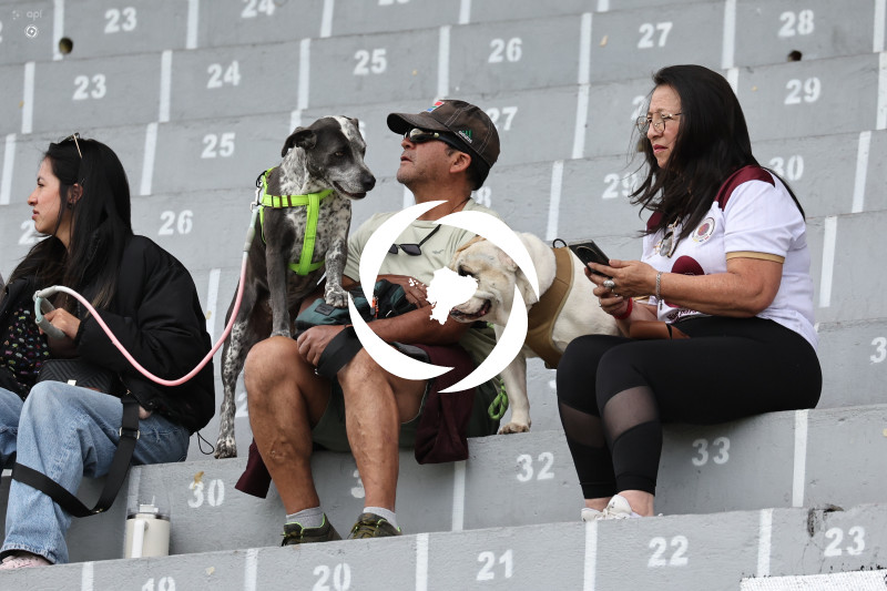 FBL LIGA ECUABET VINOTINTO VS MANTA