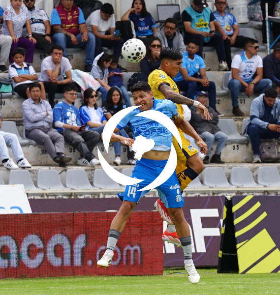 FBL LIGAECUABET-MACARA-DELFIN