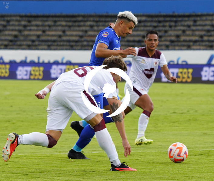 FBL LIGAPRO VINO TINTO CATOLICA
