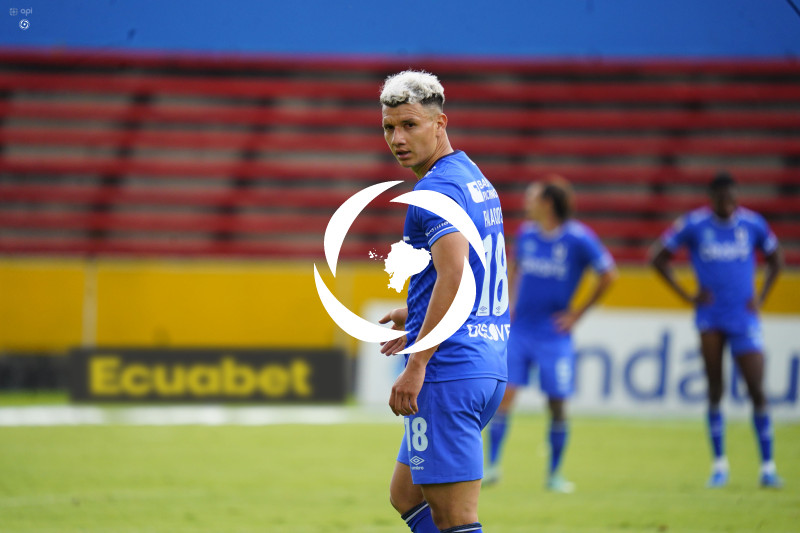 FBL LIGAPRO VINO TINTO CATOLICA