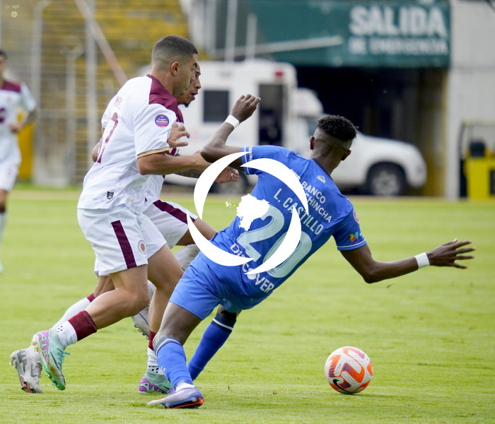 FBL LIGAPRO VINO TINTO CATOLICA