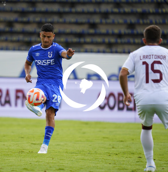 FBL LIGAPRO VINO TINTO CATOLICA