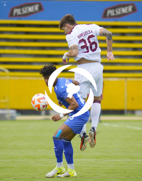 FBL LIGAPRO VINO TINTO CATOLICA