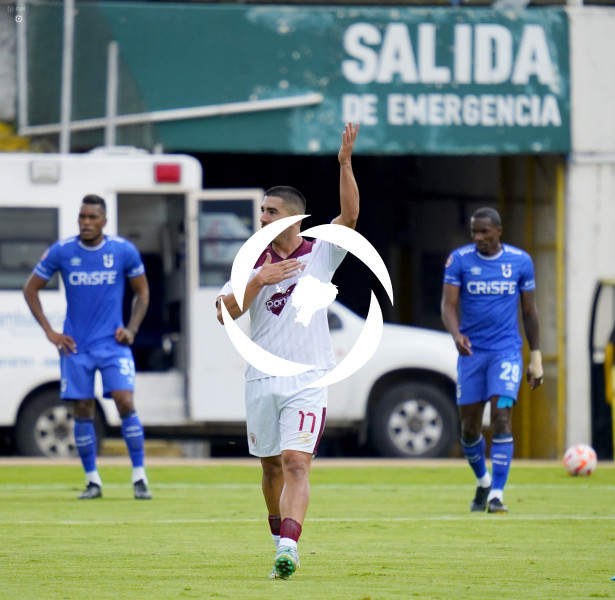 FBL LIGAPRO VINO TINTO CATOLICA