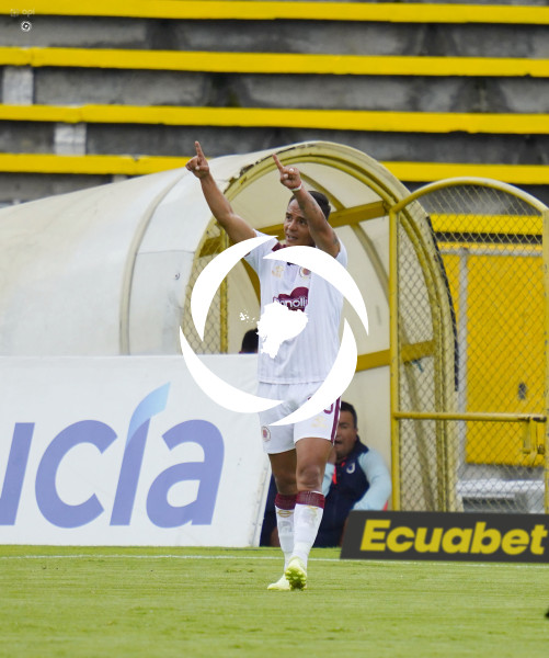 FBL LIGAPRO VINO TINTO CATOLICA