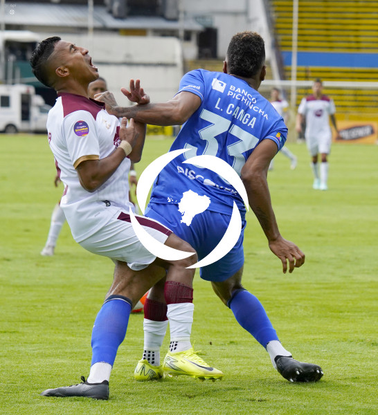 FBL LIGAPRO VINO TINTO CATOLICA