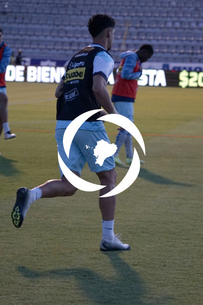FBL LIGA PRO MACARA VINO TINTO