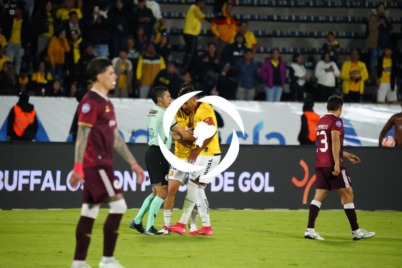 FBL LIGAPRO VINO TINTO BARCELONA